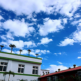 2019/01/09 羽化升天